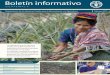 Boletín informativo FAO Guatemala - Febrero 2012