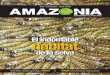 Revista Amazonia Edicion Junio 2012