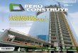 Revista Perú Construye N° 19