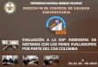 EVALUACIÓN A INGENIERIA DE SISTEMAS CON LOS PARES EVALUADORES POR PARTE DEL CNA COLOMBIA - DCCU - A