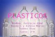 Plásticos - Estela Patricia