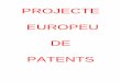 Projecte Europeu Patents