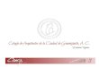 ESTATUTOS COLEGIO DE ARQUITECTOS DE LA CIUDAD DE GUANAJUATO, A. C