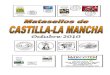 Matasellos de CASTILLA-LA MANCHA. Cancels of CASTILLA-LA MANCHA