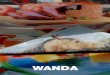Revista Wanda
