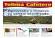Tolima Cafetero 208
