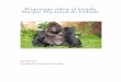 El Gorila en peligro