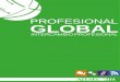Portafolio profesional global