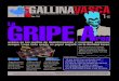 Gallina Vasca 04