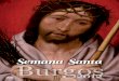 Semana Santa de Burgos 2012
