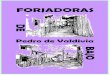 Forjadoras de Pedro de Valdivia Bajo