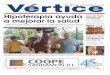 Periódico Vértice Informativo Mayo 2011