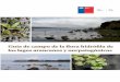 Guía de campo de la flora hidrófila delos lagos araucanos y norpatagónicos