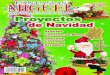 Proyectos de Navidad Revista 83