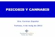 PSICOSIS I CANNABIS (sessió adolescència. maig'12). Carme.Pere Mata