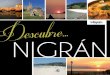 Nigran Turismo 2012