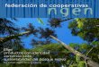 Catálogo Federación de Cooperativas Ngen
