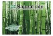 Natural Life Paraguay - Catálogo 2011