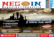 Revista Negocios e Industria octubre - noviembre 2012