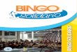 Plan de Auspicios Bingo Solidario 2013