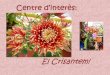 Centre d'interès: El Crisantem!