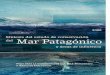 Síntesis del estado de conservación del Mar Patagónico y áreas de influencia