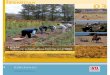 Atlas. Población y Agricultura Familiaren el NOA - INTA CIPAF