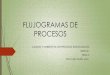 Flujogramas de procesos (Clase 1)
