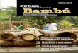 Construcción de Vivienda de Bambú