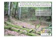 Hábitats de bosques de interés comunitario: evaluación de la estructura y función de los bosques