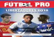 Fútbol Pro N°13
