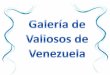 Galer­a de ¨Los Valiosos de Venezuela