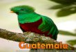 guatemala quetzal