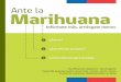 Efectos y consecuencias del consumo de Marihuana
