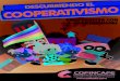 Descubriendo el Cooperativismo