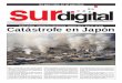 Diario Sur Digital Nro. 346 - Marzo 2011
