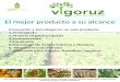 VIGORUZ - Aminoacido fertilizante