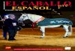 Revista El Caballo Español 2013, n.213