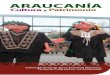 Turismo Cultural Araucanía 2012