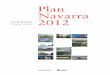 Informe Plan Navarra 2012