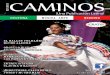 Revista CAMINOS - November