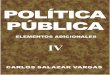 Política Pública IV Elementos Adicionales