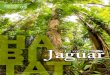La Voz del Jaguar - Boletín Bimestral 05