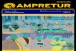 Boletin Ampretur - resumen año 2011