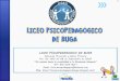 Proyecto Calidad Liceo Psicopedagogico de Buga