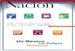 La Nacion / Plataforma Electoral 2012-2018 “Un México con futuro”