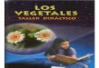 Los Vegetales - JJ