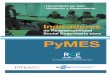 Primeros pasos indicadores para Pymes