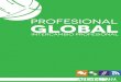 Profesional Global - AIESEC en Colombia