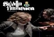 Sevilla Flamenca # 118